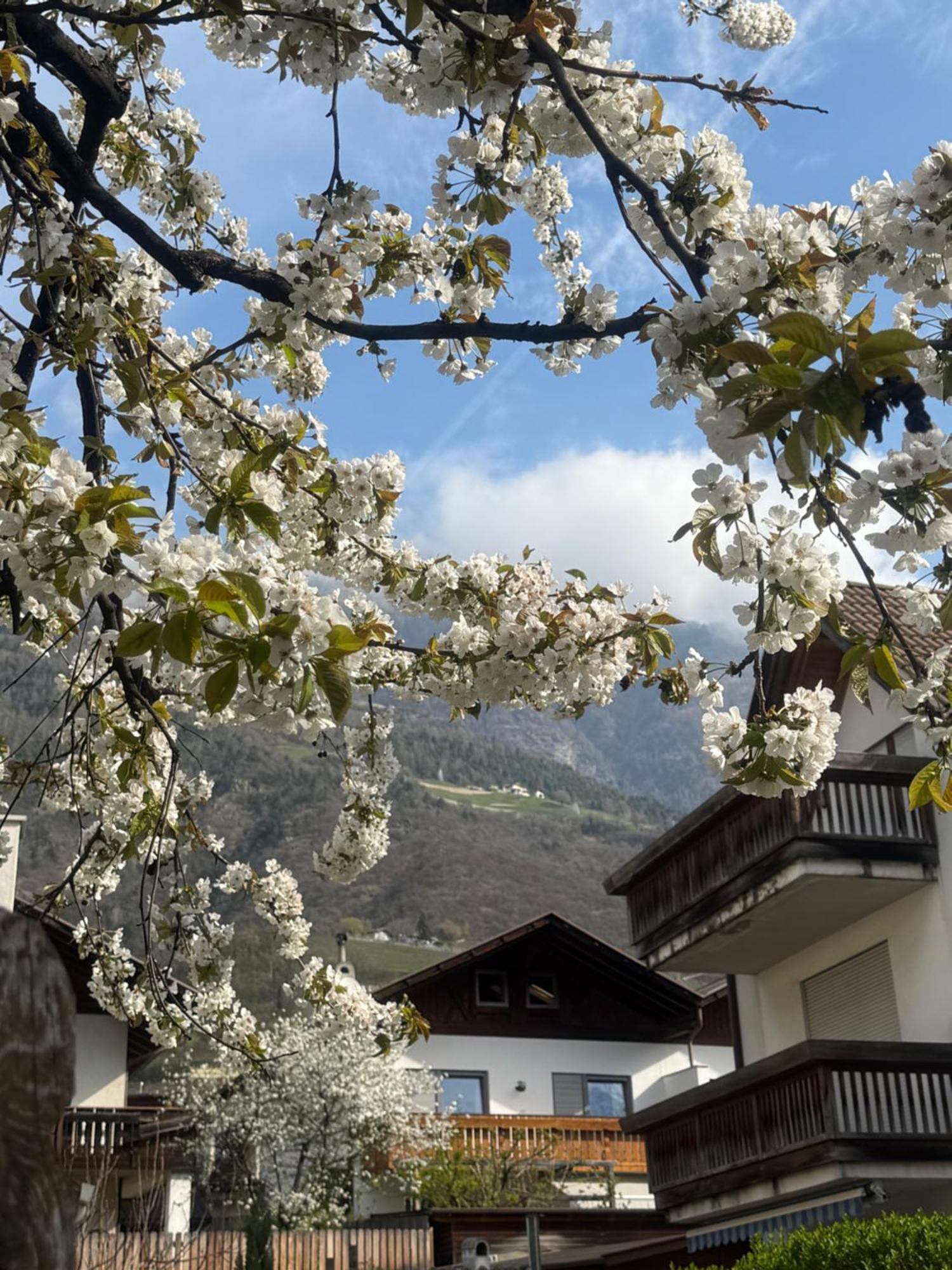 Ferienwohnung Im Zentrum 나투르노 외부 사진
